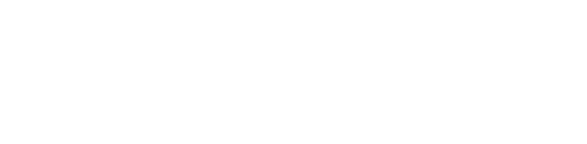 logo_wpd_25_hori_WHITE